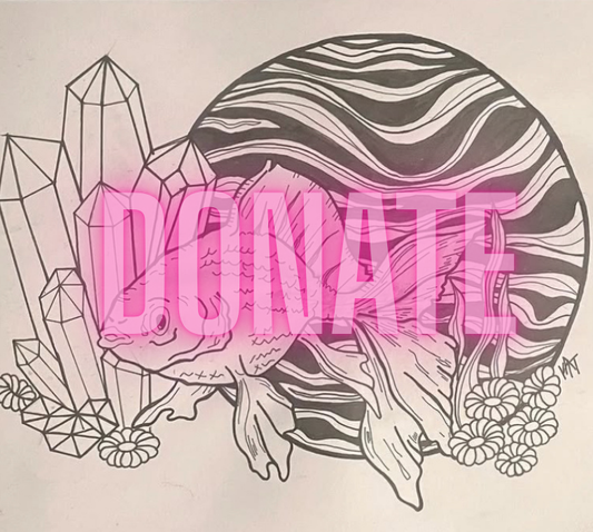 Donate